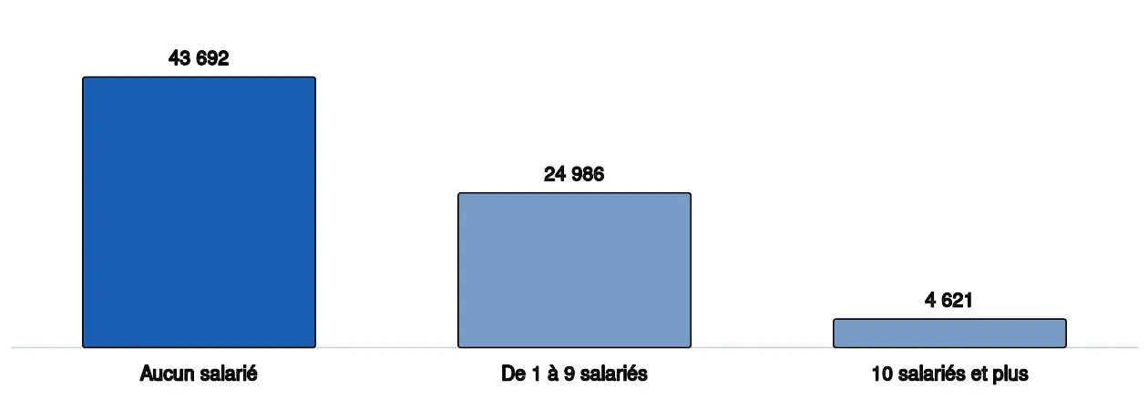 Diagramme en barres du nombre d'établissements de plomberie-chauffage selon leur effectif salarié : 43 692 n'emploient aucun salarié, 24 986 en emploient de 1 à 9, et 4 621 en emploient 10 ou plus. Les trois valeurs et leurs parts figurent dans le tableau qui suit.